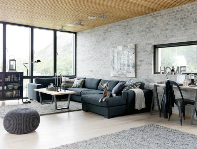 Exquisite Industrial Living room
