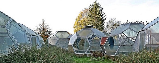 Abandoned Greenhouses