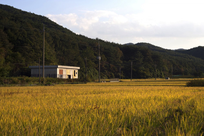 Project House within a House in Pohang