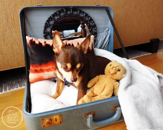 Get a Vintage Style Home using old suitcases
