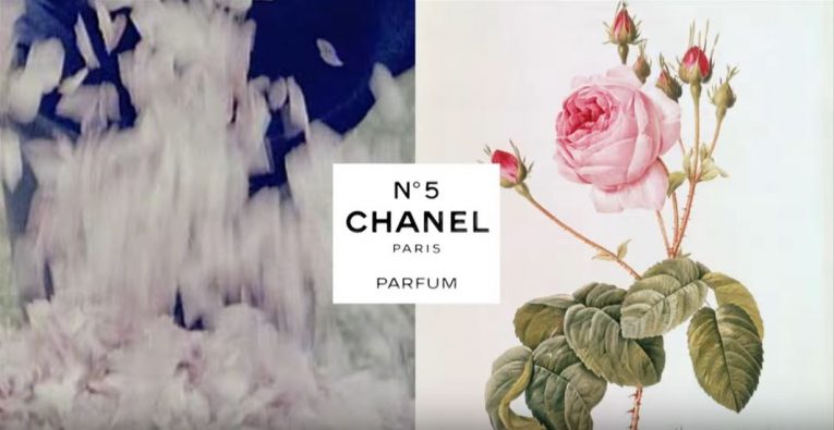 Chanel Nº5 – Discover The Story Behind This Vintage Icon