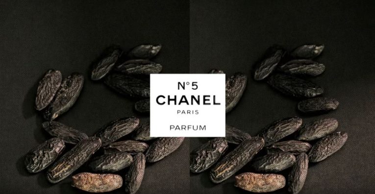 Chanel Nº5 – Discover The Story Behind This Vintage Icon