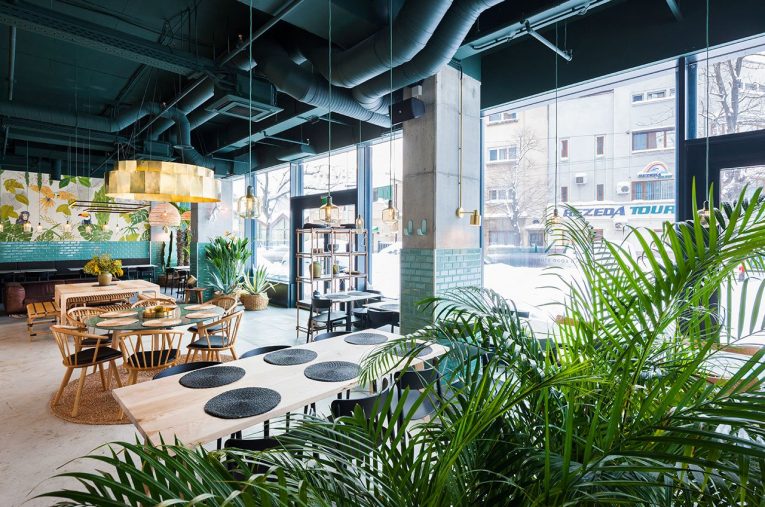 Kane World Food Studio – Industrial Style Meets The Jungle
