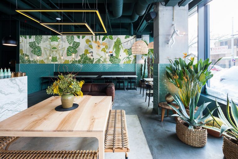 Kane World Food Studio – Industrial Style Meets The Jungle
