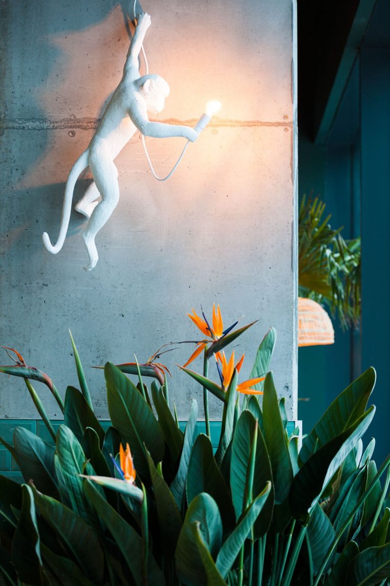 Kane World Food Studio – Industrial Style Meets The Jungle