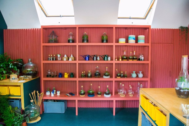 Discover This Terrarium Vintage Store in South of London