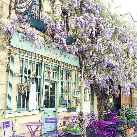 The French Café Scene You Need To Visit When in Paris! 4
