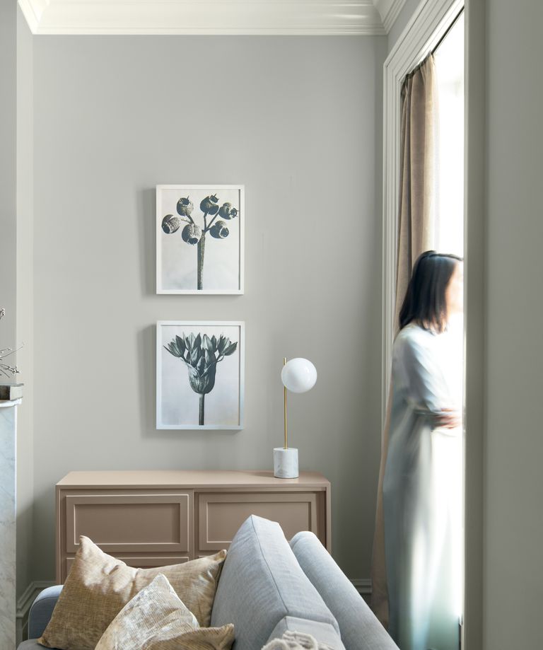 Benjamin Moore Colour of The Year 2019 is Why You're Going Haywire 2