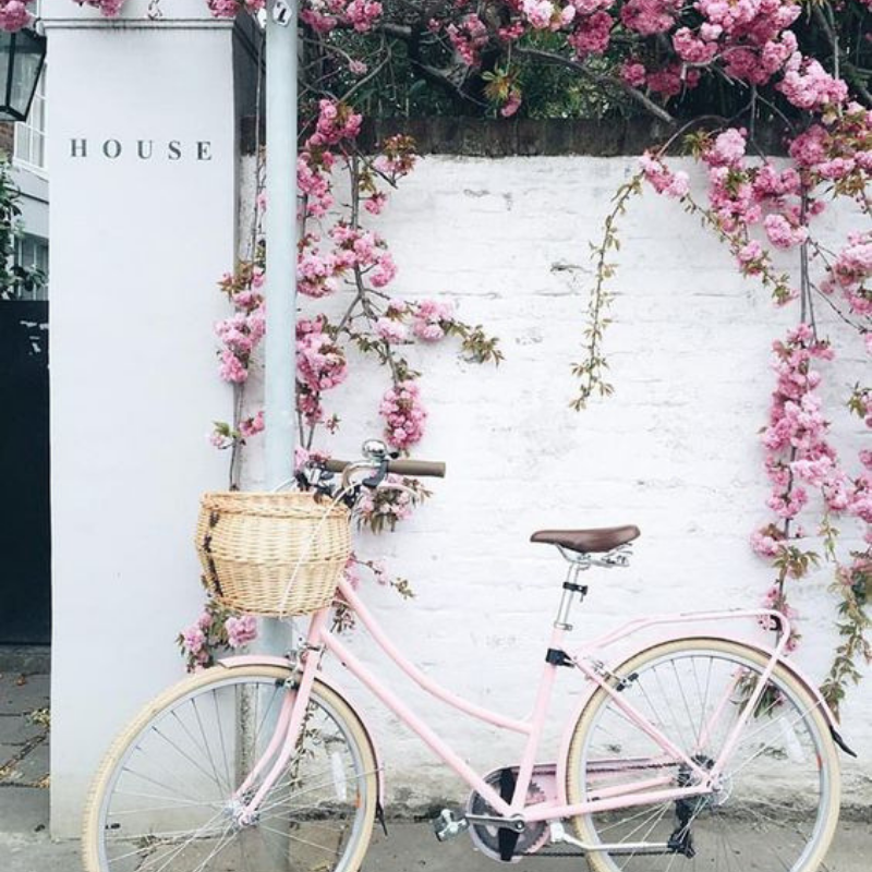 What’s Hot On Pinterest_ Spring Colour Trends Are Here! (2)